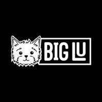 Big Lu Coupon Codes