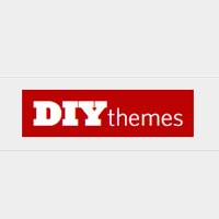 Diythemes Coupon Codes