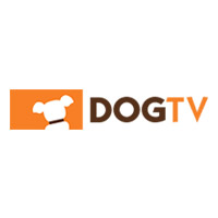 Dogtv Coupon Codes