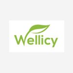 Wellicy Coupon Codes