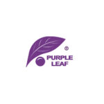 PURPLE LEAF Coupon Codes
