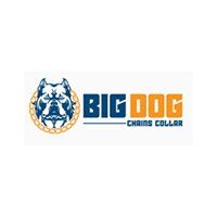 Big Dog Chains Collar Coupon Codes