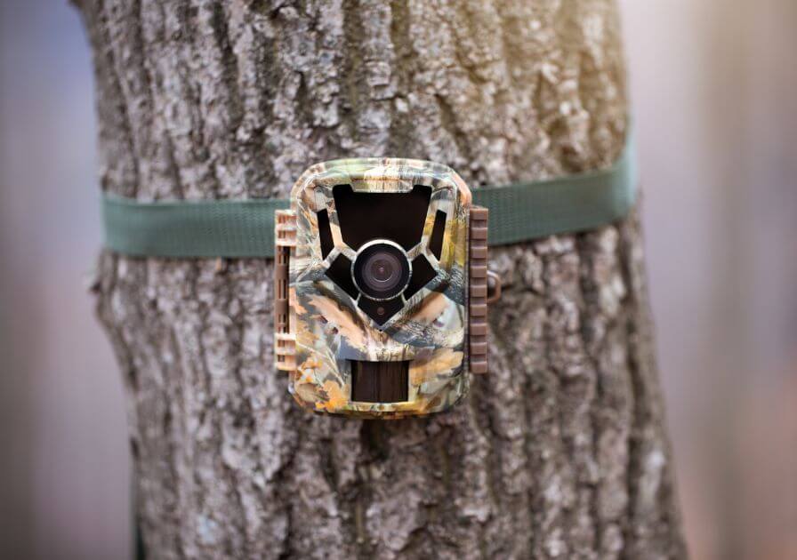 Capture Every Moment: Explore the Latest in Camera Technology - CouponSip