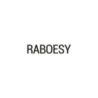 Raboesy Coupon Codes