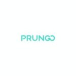 Prungo Coupon Codes
