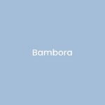 Bambora Coupon Codes